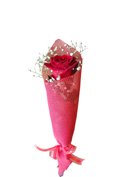 Valentine's Rose