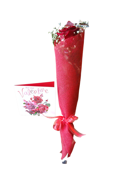 Valentine's Rose + Card
