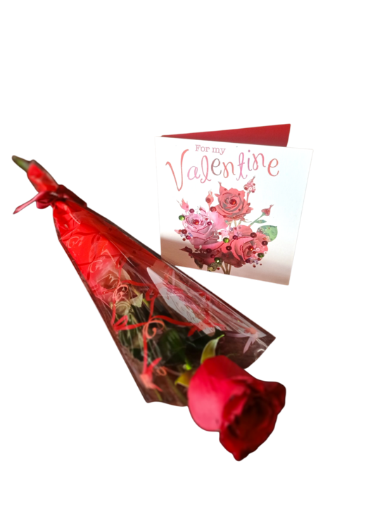 Valentine's Rose + Card