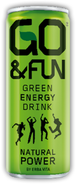 Go & Fun Energy Drink 25cl (Incl BCRS Deposit)